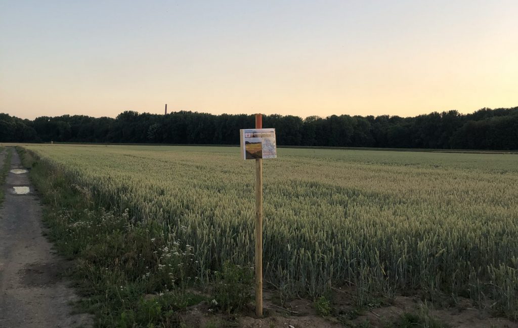 Retentionsbecken Langel